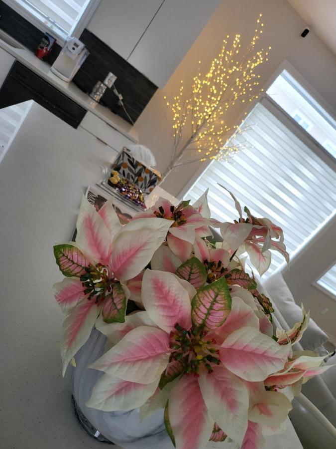 Bliss-Home ออตตาวา ภายนอก รูปภาพ