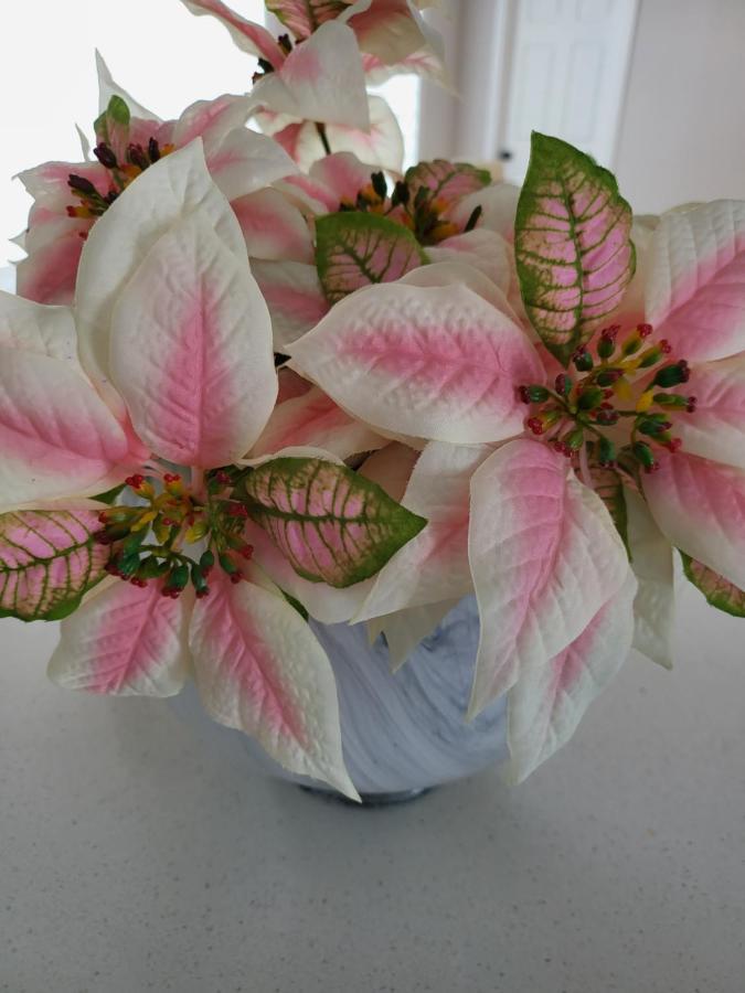 Bliss-Home ออตตาวา ภายนอก รูปภาพ